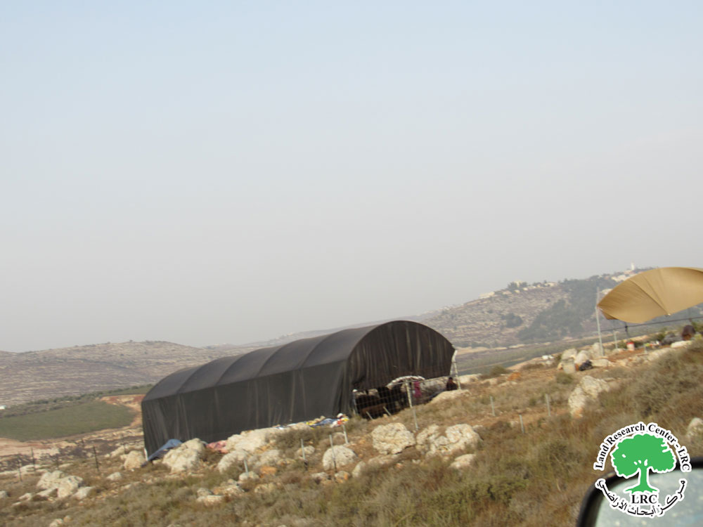 تعد البؤرة الثانية في الموقع ... تسوية قطعة أرض وإقامة بؤرة استعمارية رعوية عليها في قرية سالم / محافظة نابلس | LRC