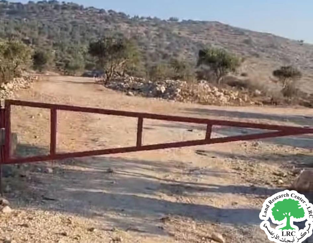 With the start of the olive harvest season, the occupation forces close agricultural roads for hundreds of dunams planted with olive trees in the town of Bidya/ west of Salfit | LRC