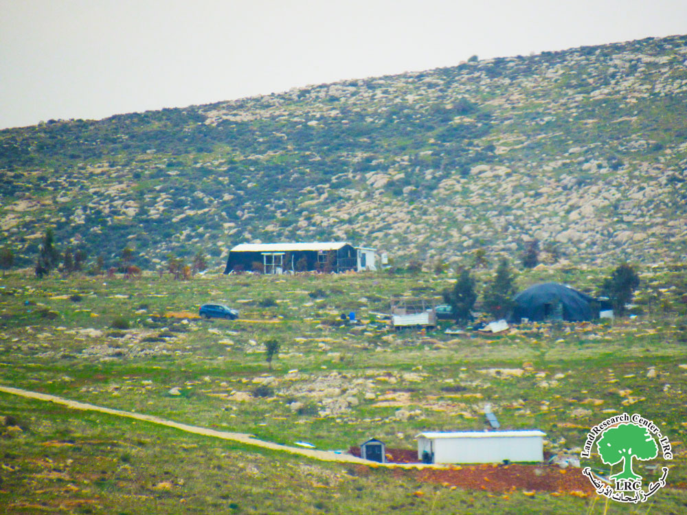 Illegal Colonists Ravage 6 dunums of Pastoral lands to establish a new Pastoral Outpost in “Al-Faw” area the northern Jordan Valley / Tubas Governorate | LRC