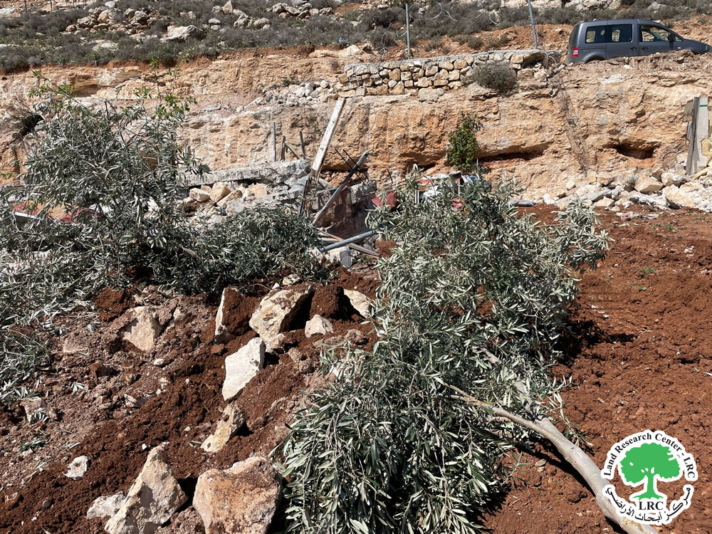 The Occupation Ravages Land and Destroys Agricultural Structures in Farsh al Hawa Area, Northwest of Hebron | LRC