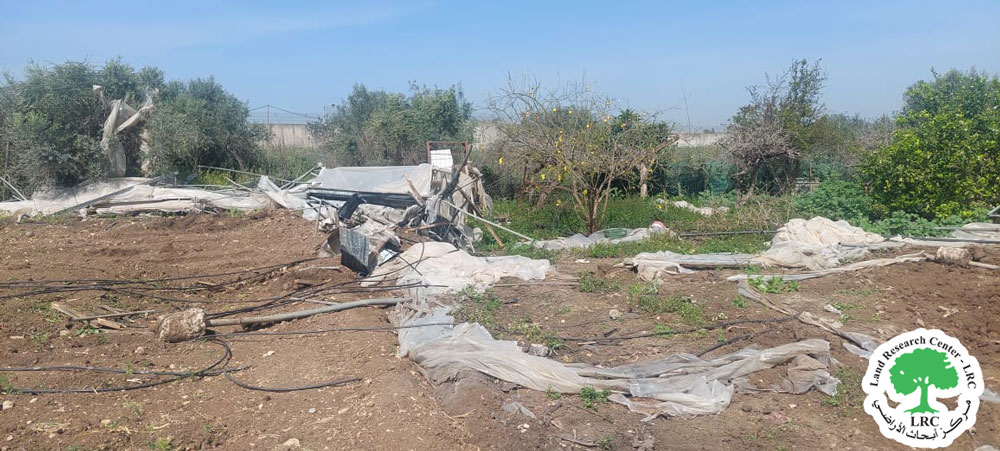 5 Dunams of Greenhouses and Beehives Ravaged in Dahiyat Shweka/ North of Tulkarm | LRC