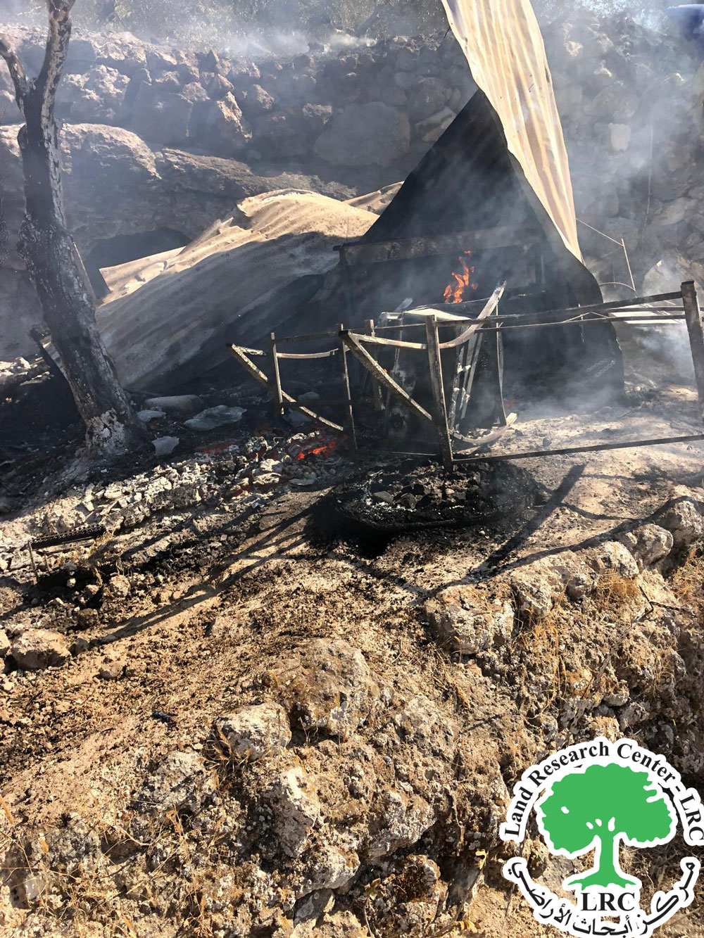 مستعمرون يحرقون منشأة زراعية وأشتال زيتون في بلدة نعلين غرب رام الله | LRC