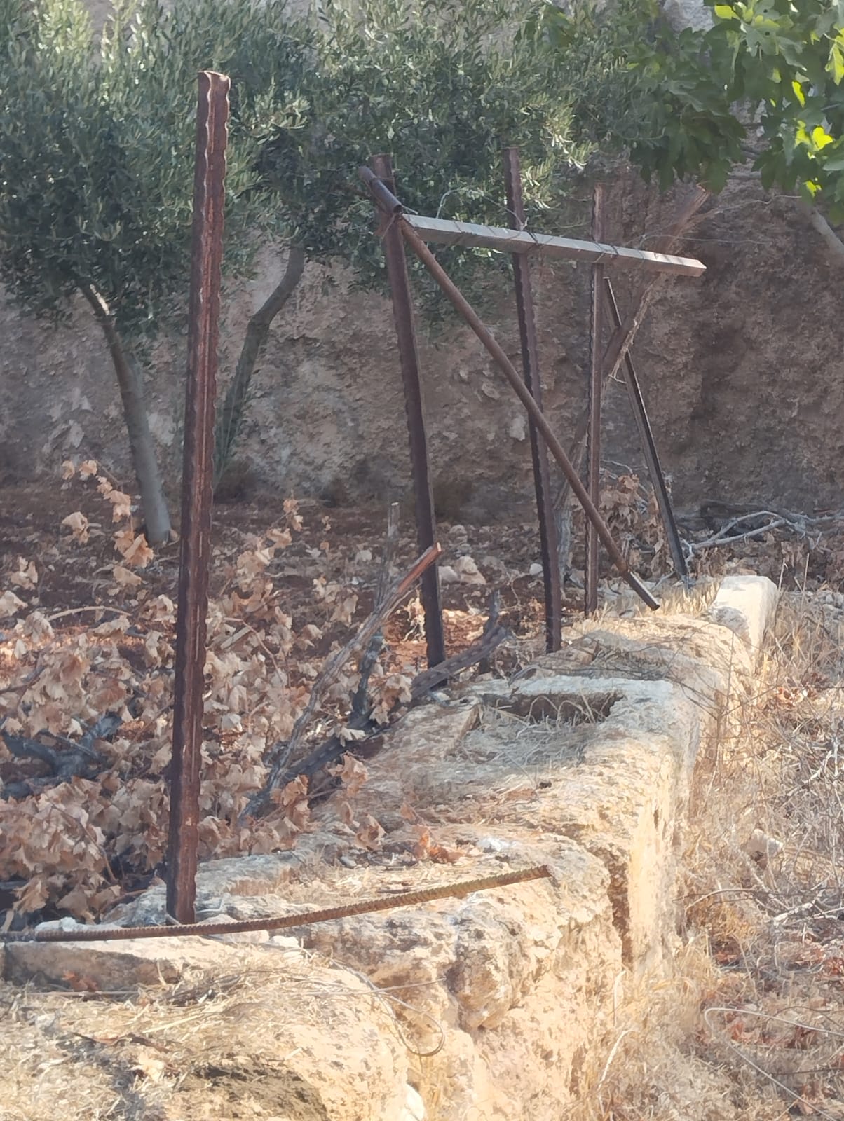 Settlers Attack Agricultural Room and Trees in Turmus’ayya Town/ North of Ramallah | LRC