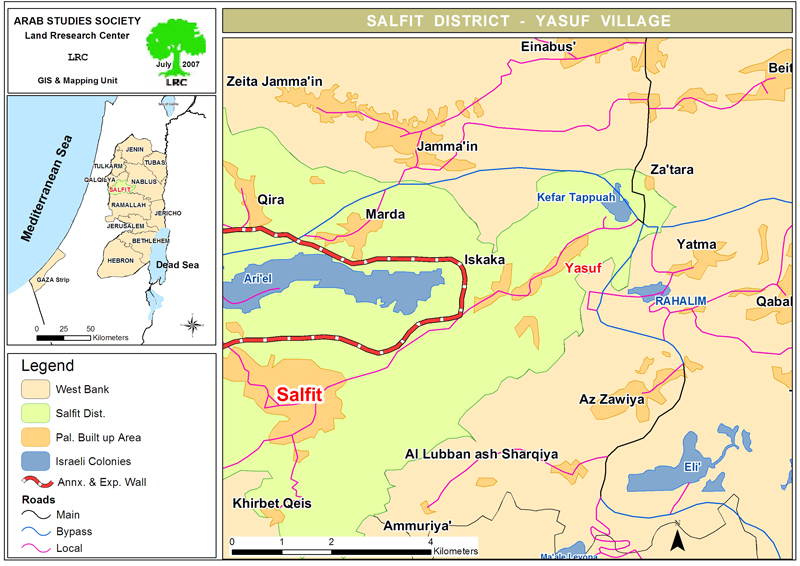 To disrupt this year's olive harvesting season, settlers cut down 30 olive trees in Yasuf village/Salfit Governorate | LRC
