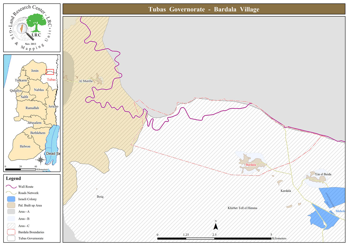 Settlers Release Cattle to Graze on Agricultural Land in Bardala Village / Tubas Governorate | LRC