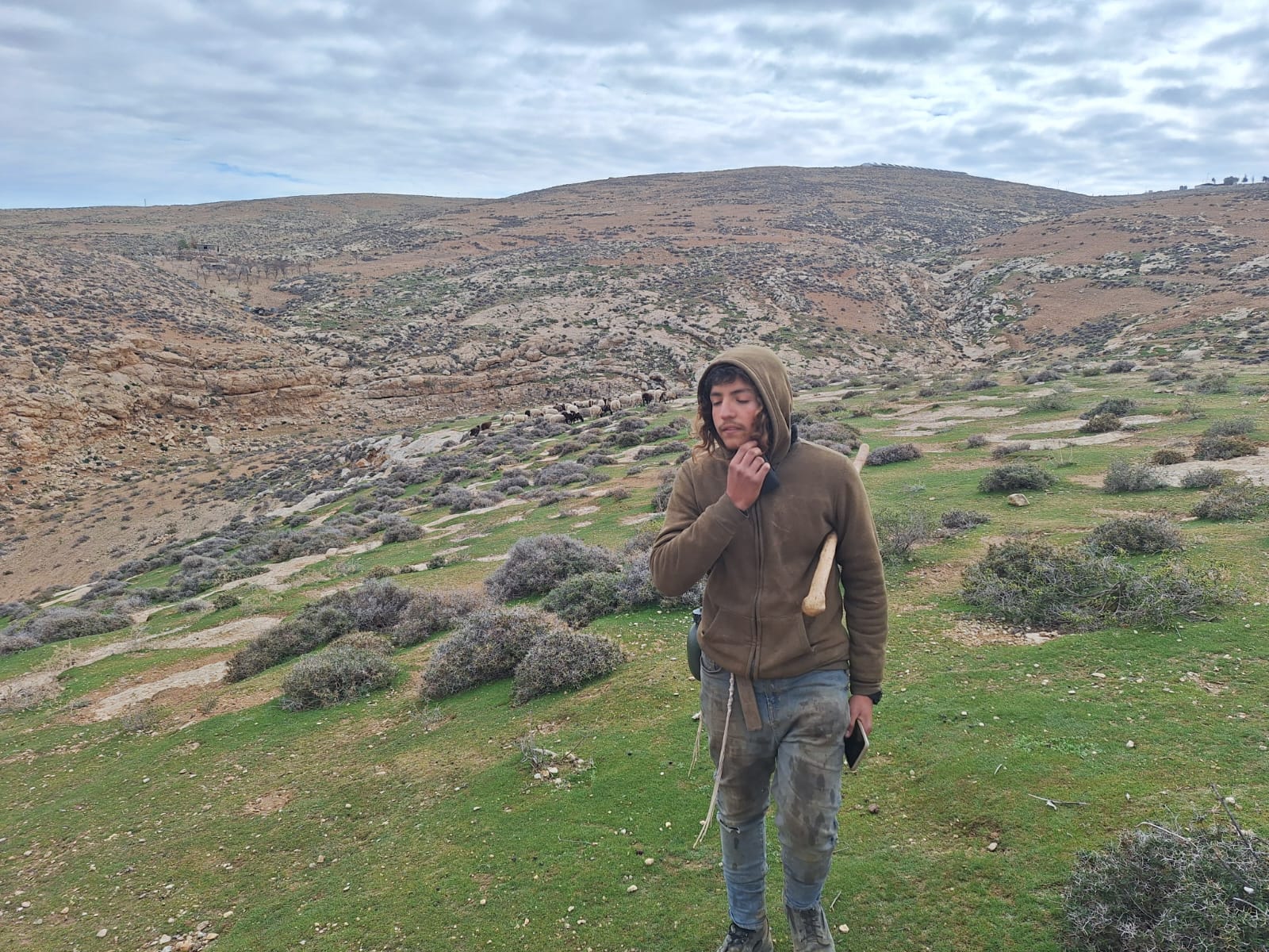 Colonial Settlers Grazing Crops and Vandalizing Land in Hawara area, east of Yatta , south of Hebron | LRC