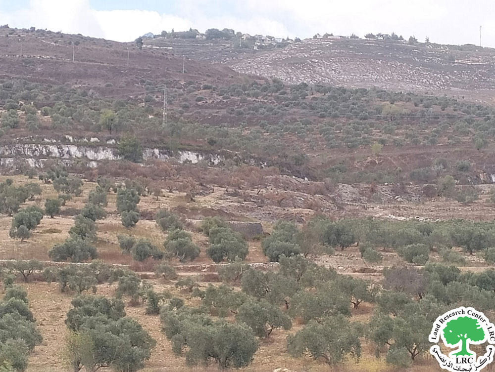 مع بدء موسم القطاف ... مستعمرون يحرقون 150 دونماً من أراضي قرية بورين جنوب نابلسن  جنوب  نابلس | LRC