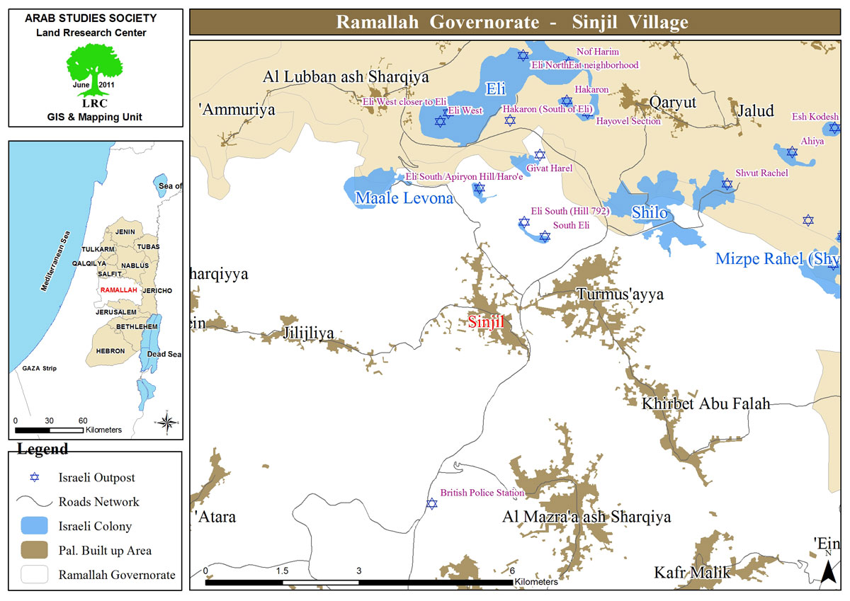 In the Olive Harvest Season... Settlers Target the Olive Trees in Sinjil/ Ramallah Governorate | LRC