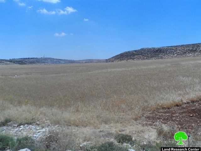 مستعمرون يجبرون ست عائلات من خربة لفجم بمحافظة نابلس على النزوح قسراً | LRC