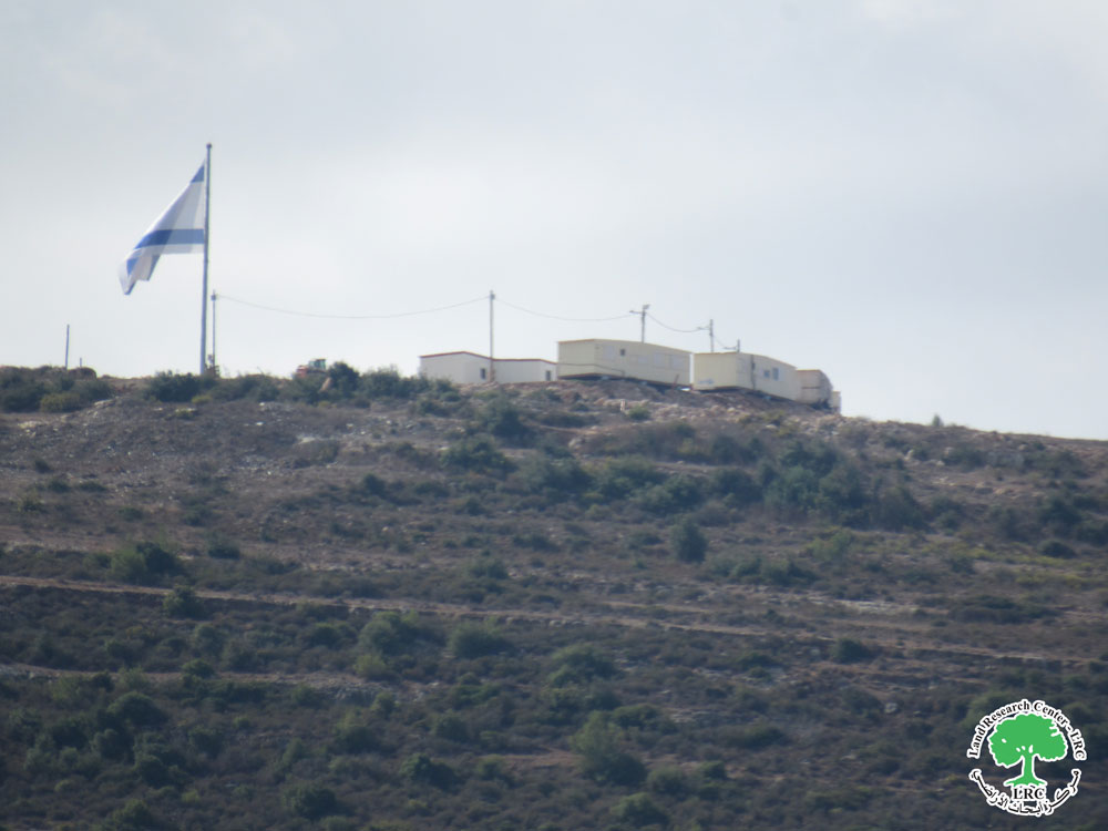 بالتزامن مع بدء موسم القطاف .. مستعمرون يغلقون  ما يزيد عن 400 دونم   في قرية أم صفا ويعرقلون جني ثمار الزيتون | LRC