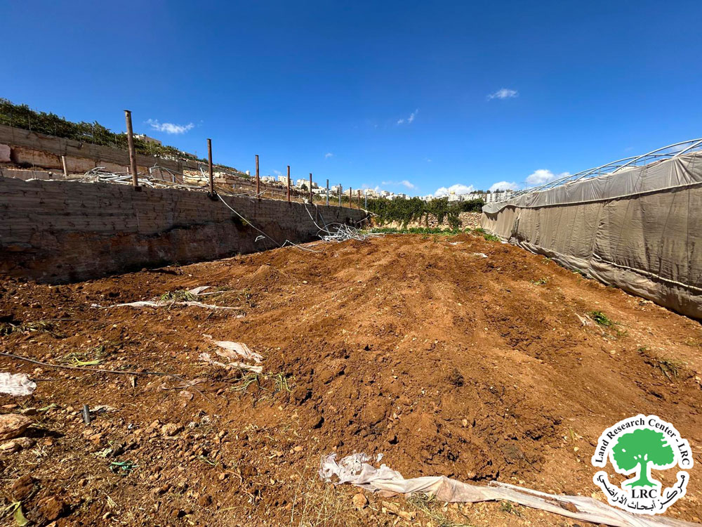الاحتلال يجرف قطعة أرض مزروعة بالخضروات في خلة العيدة جنوب الخليل | LRC