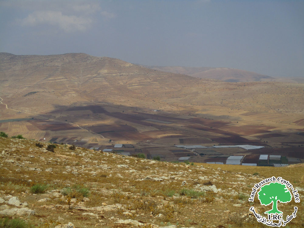 مستعمرو البؤرة الرعوية يغلقون طريقاً زراعياً يخدم مائتي دونم زراعي في قرية بردلة بمحافظة طوباس | LRC