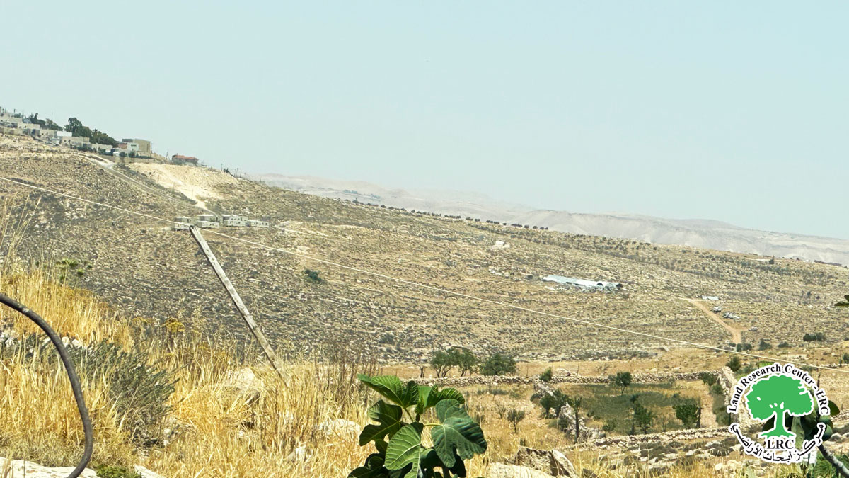 مستعمرون يهجرون قسراً تجمع"أبو خشبة" الزراعي جنوب بني نعيم بمحافظة الخليل | LRC