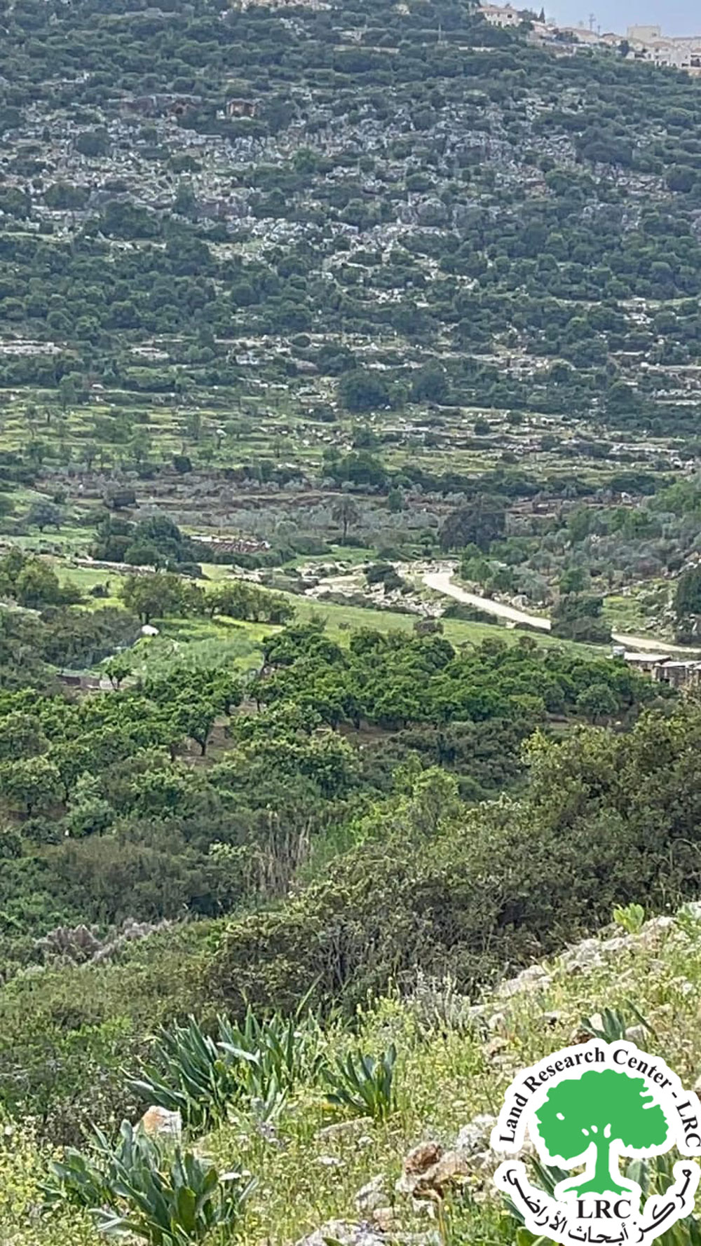 مستعمرون يتلفون مضخات مائية وشبكات ري تروي 65 دونماً زراعياً في واد قانا شمال سلفيت | LRC