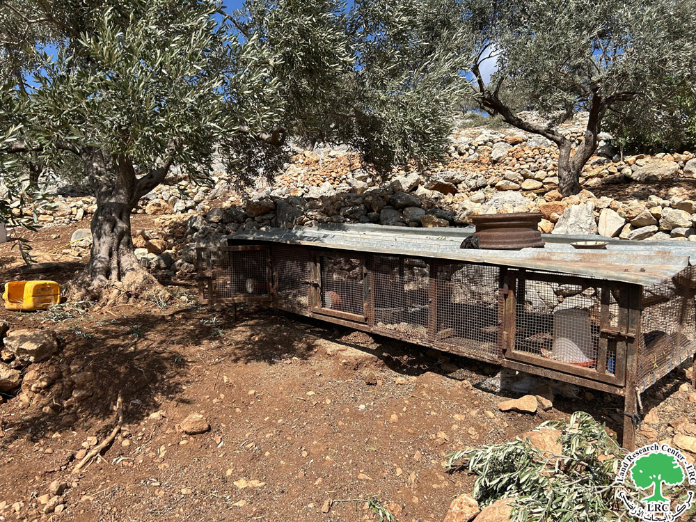 مستعمرون يدمرون محتويات غرفة زراعية وحظيرة للدواجن ونفوق 40 طير من الدواجن في بلدة كفر ثلث / محافظة قلقيلية | LRC