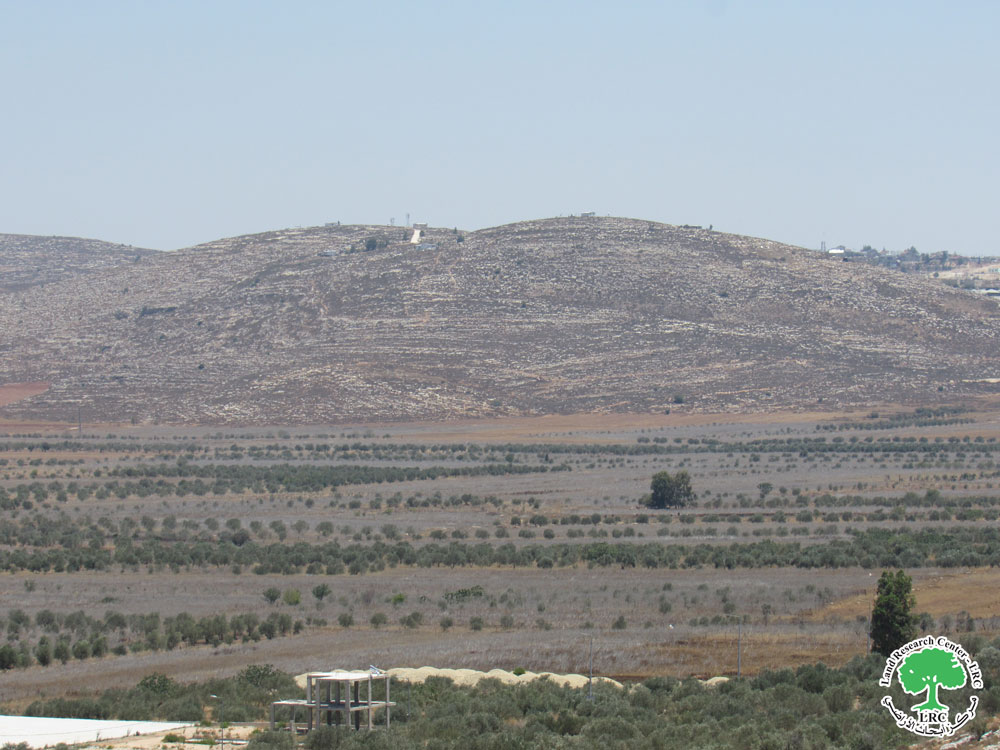 تجريف ثلاث دونمات واقتلاع 45 شجرة زيتون في سهل ترمسعيا / محافظة رام الله | LRC