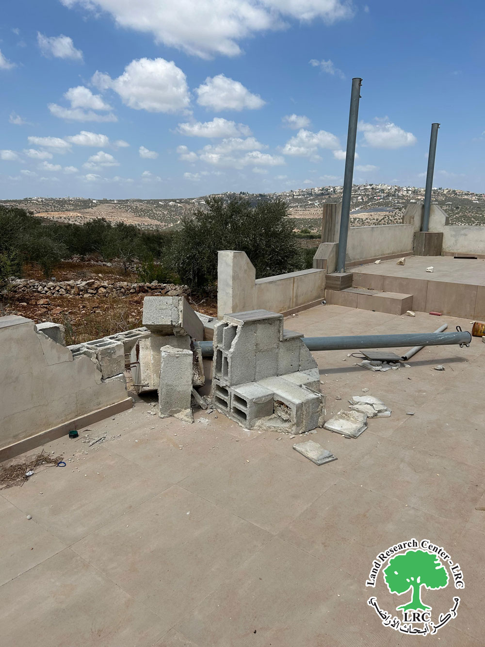 مستعمرون يخربون ممتلكات زراعية في قرية كفر قدوم  / محافظة قلقيلية | LRC