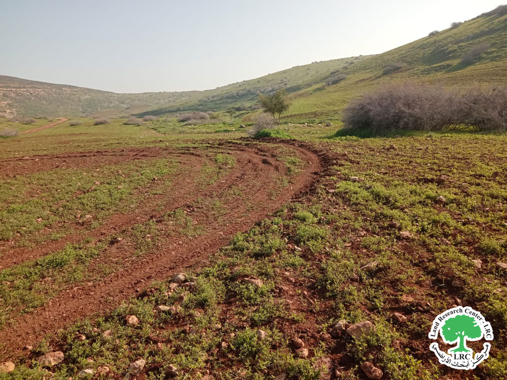 بفعل التدريبات العسكرية ... جيش الاحتلال يدمر 75 دونماً مزروعة بالقمح  في منطقة المالح / محافظة طوباس | LRC