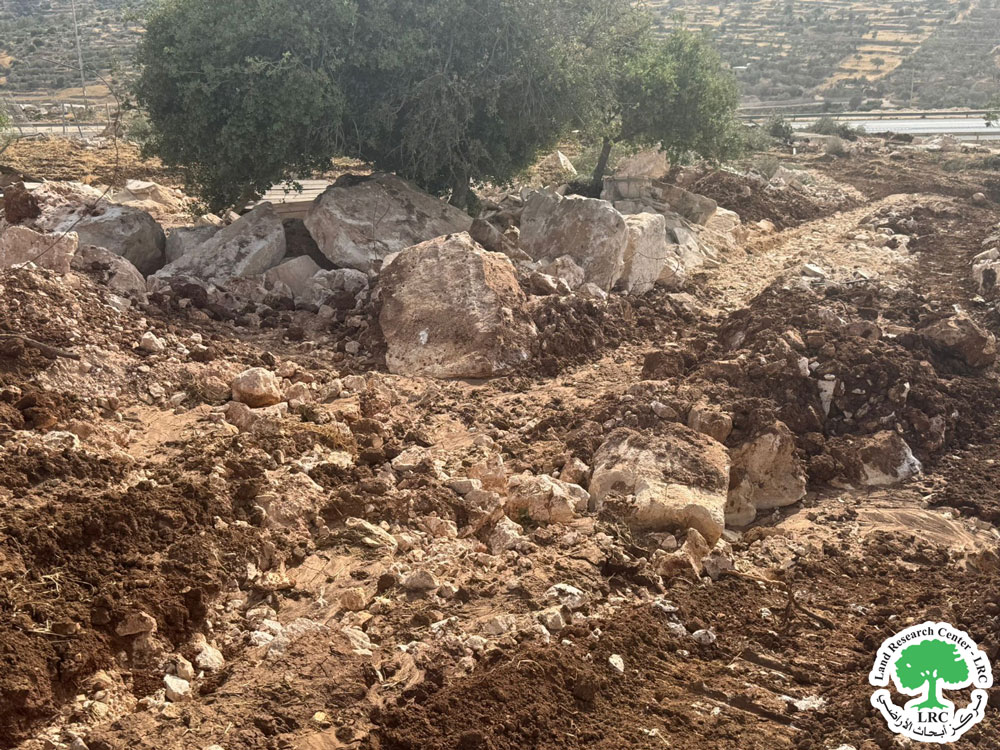 الاحتلال الإسرائيلي  يقتلع أشجار ويجرف أراضٍ ومنشآت زراعية في بلدة سلواد شمال رام الله | LRC