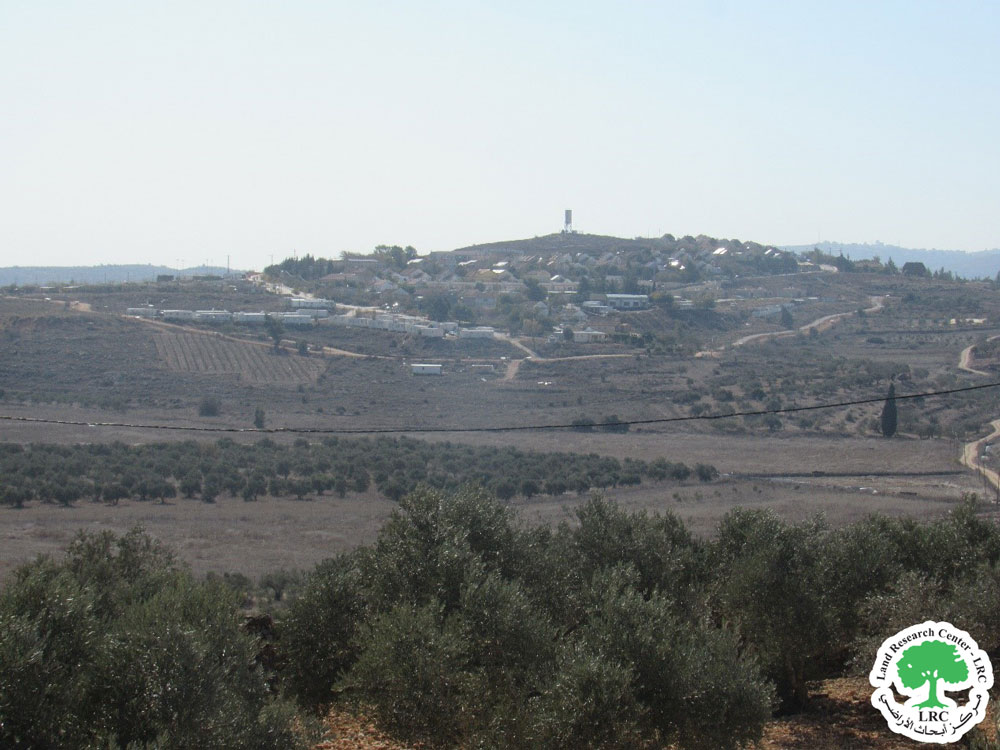 جيش الإحتلال يُصدر أمراً بالإستيلاء على 70 دونماً من الأراضي الزراعية في قرى " الساوية، اللبن الشرقي، قريوت" جنوب محافظة نابلس | LRC